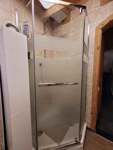 a shower in a bathroom with a glass door at Ferienhaus Lathum früher Chalet Familienzeit in Lathum