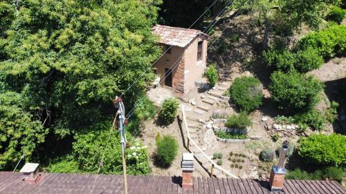 Zahrada ubytování Casa di vacanza in Capriasca ( Lugano )