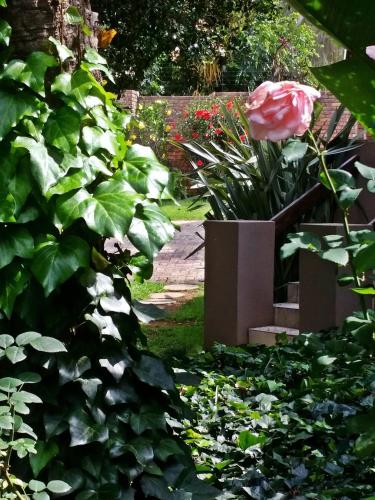 Taman di luar Constantia Manor Guest House