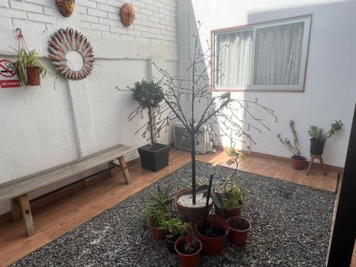 a room with potted plants and a bench at Apartamentos Cerro Blanco in Santiago