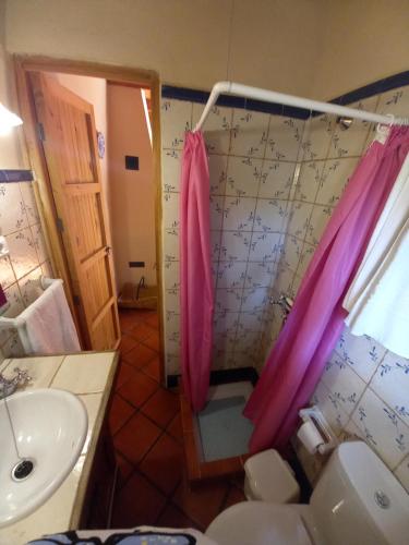 Kylpyhuone majoituspaikassa La Encina Casa Rural