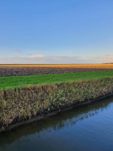 a field of crops next to a river at BenB Zuidoord in Zuidland