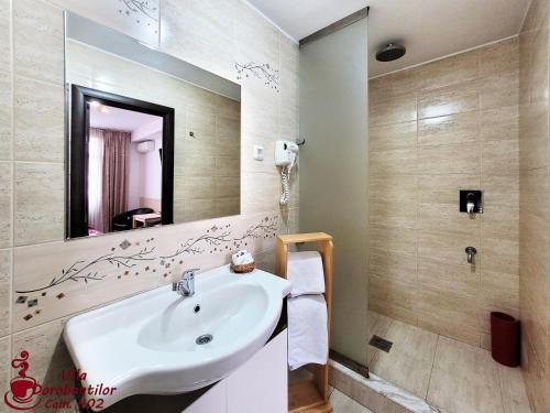 a bathroom with a sink and a mirror at Vila Dorobantilor in Cluj-Napoca