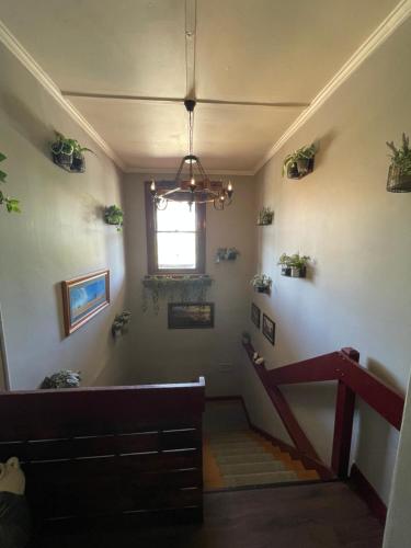 Cette chambre dispose d'un escalier avec une plante en pot. dans l'établissement Kaneira Hotel, à Culgoa