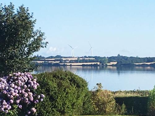 a view of a river with pink flowers at 5 person holiday home in Sydals in Trænge