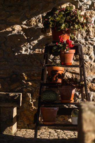 Φωτογραφία από το άλμπουμ του Granja da Cabrita στην Κοΐμπρα