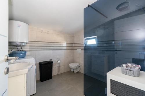 ein Bad mit einem WC und einem Waschbecken in der Unterkunft Apartments with a parking space Razanac, Zadar - 6919 in Ražanac