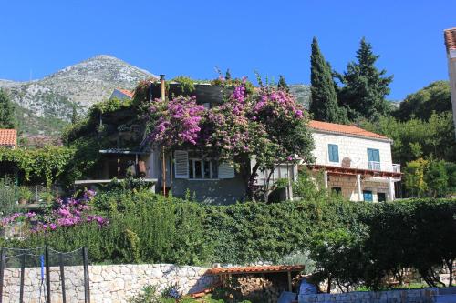 una casa con flores rosas en la cima de una colina en Apartments with a parking space Slano, Dubrovnik - 8540 en Slano