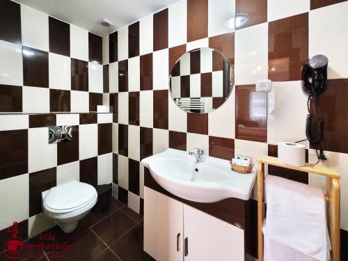 a bathroom with a sink and a toilet and a mirror at Vila Dorobantilor in Cluj-Napoca
