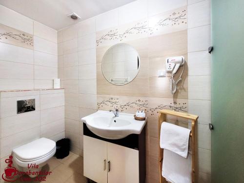 a bathroom with a sink and a toilet and a mirror at Vila Dorobantilor in Cluj-Napoca