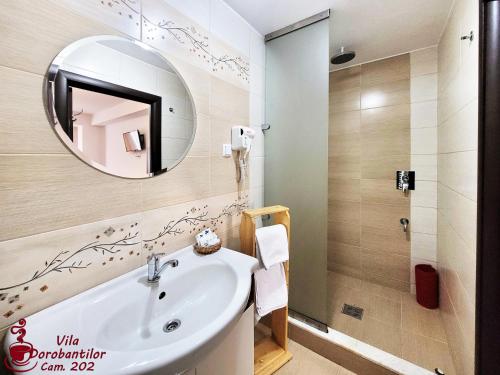 a bathroom with a sink and a mirror at Vila Dorobantilor in Cluj-Napoca