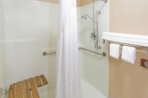 y baño con ducha y cortina de ducha. en Holiday Inn Express Hotel & Suites Portland-Northwest Downtown, an IHG Hotel, en Portland