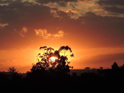 una puesta de sol con un árbol en primer plano en Um paraiso em meio à cidade en Campinas