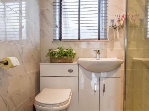 een badkamer met een toilet en een wastafel bij Highfield Bungalow in Brynamman