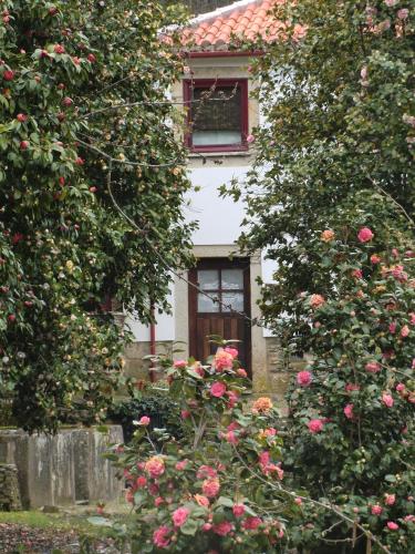 Κήπος έξω από το Quinta das Aveleiras