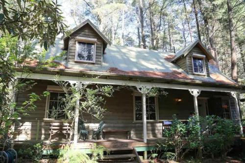 a house in the woods with a roof at Holly Lodge in Medlow Bath