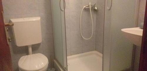 ein Bad mit einer Dusche, einem WC und einem Waschbecken in der Unterkunft Apartments MILA in Ubli