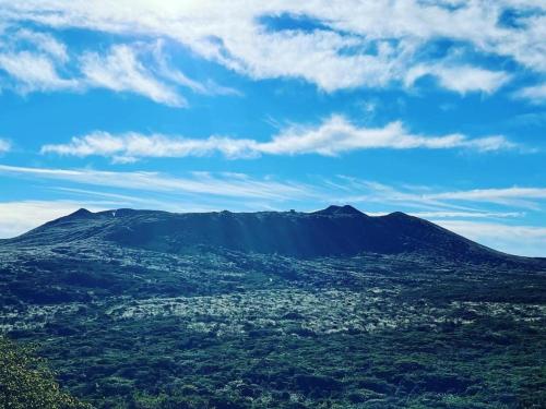 ホステルの近くで見られる自然の景観