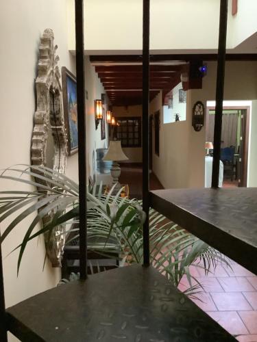 a dining room with a table and a plant at La casita de Angie in Antigua Guatemala