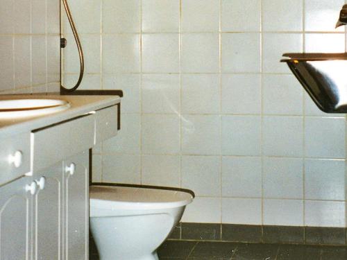 ein Bad mit einem WC und einem Waschbecken in der Unterkunft Seven-Bedroom Holiday home in Flatanger 2 in Straum
