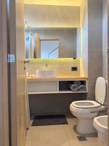 a bathroom with a sink and a toilet and a mirror at ENTREVERDES Departamentos in El Bolsón