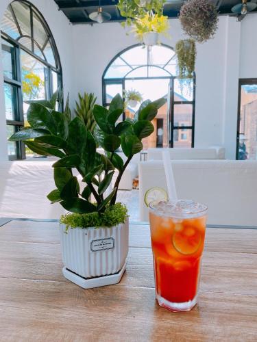 a drink sitting on a table next to a potted plant at Lacasa home&coffee Mộc Châu in Mộc Châu