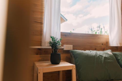 a potted plant sitting on a table next to a window at Lacasa home&coffee Mộc Châu in Mộc Châu