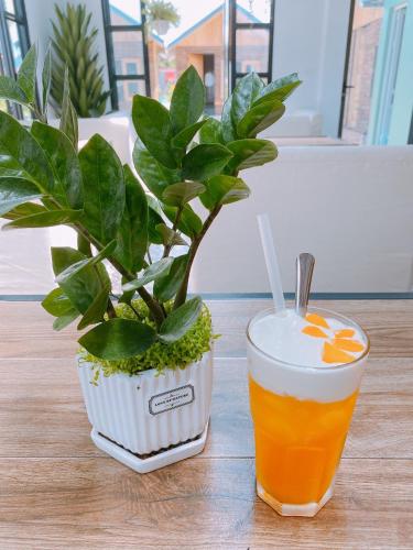 a glass of beer and a potted plant on a table at Lacasa home&coffee Mộc Châu in Mộc Châu