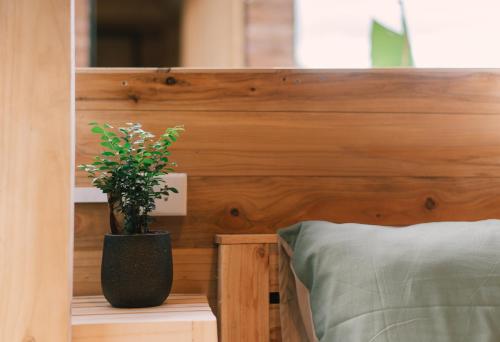 a bedroom with a wooden headboard with a potted plant at Lacasa home&coffee Mộc Châu in Mộc Châu