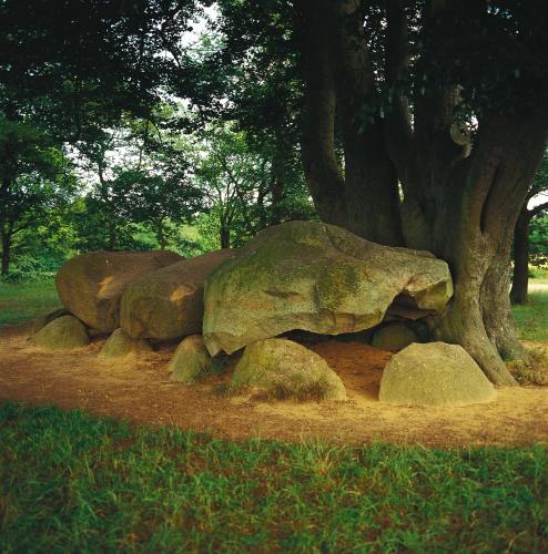 a group of rocks under a tree next to a tree at Van der Valk Hotel Assen in Assen