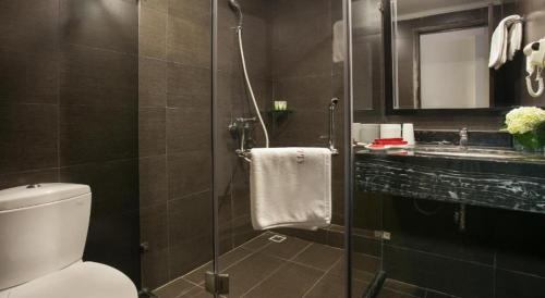 a bathroom with a shower and a toilet and a sink at La Santé Hotel & Spa in Hanoi