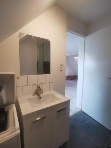 une salle de bain avec un lavabo et un miroir dans l'établissement Appartement mezzanine aux portes de Rennes, à Vezin-le-Coquet