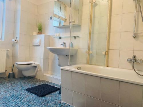 a bathroom with a toilet and a sink and a shower at Kapitänshaus an der Warnow mit Sauna in Rostock