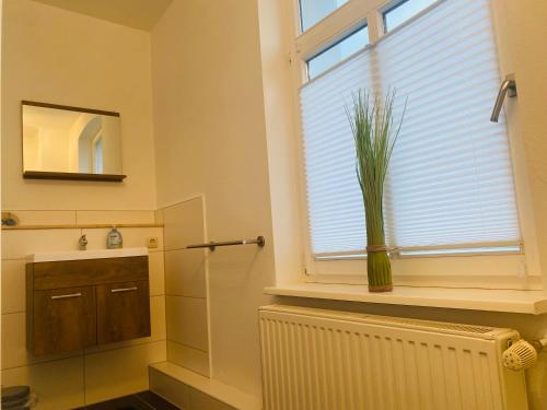 a bathroom with a radiator and a window with a vase at Kapitänshaus an der Warnow mit Sauna in Rostock
