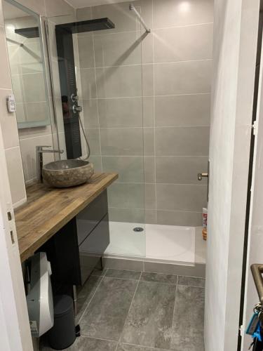 une salle de bain avec un lavabo et une douche dans l'établissement Appartement 4 personnes vue mer, coeur de ville, au Grau-du-Roi