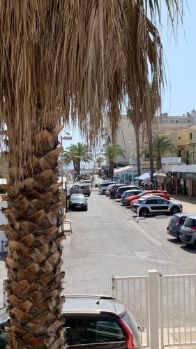 Appartement 4 personnes vue mer, coeur de ville,100m de la plage avec parking