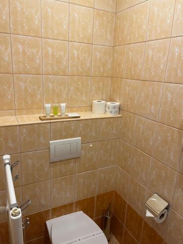 a bathroom with a toilet and a tiled wall at Penzion Bawaria in Horní Lomná