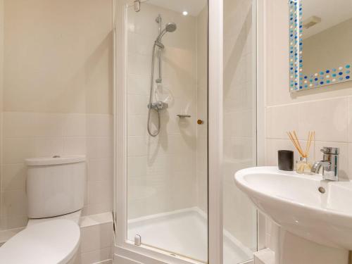 a bathroom with a shower and a toilet and a sink at Plovers Nest At Lower Mill in Somerford Keynes
