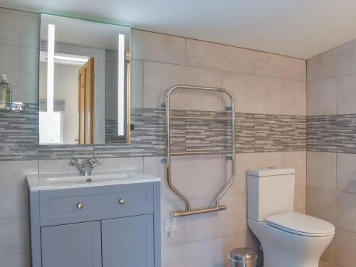 a bathroom with a toilet and a sink and a mirror at Durcombe Water Annexe in Barbrook