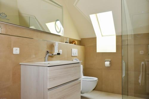 bagno con lavandino, servizi igienici e specchio di Hotel Restaurant JUWEL a Gaflenz