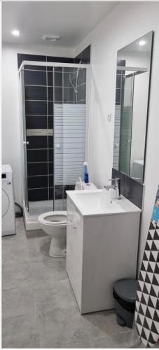 La salle de bains est pourvue de toilettes, d'un lavabo et d'une douche. dans l'établissement R1/logement proche de Paris - VILLIERS LE BEL (95), à Villiers-le-Bel