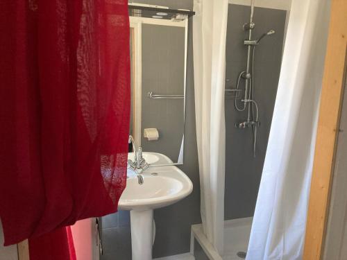 uma casa de banho com um lavatório e um chuveiro em Ancien Hôtel plein de charme em Baume-les-Dames