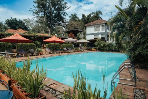a large swimming pool with chairs and umbrellas at Fairway Boutique Hotel - Kampala, Uganda in Kampala