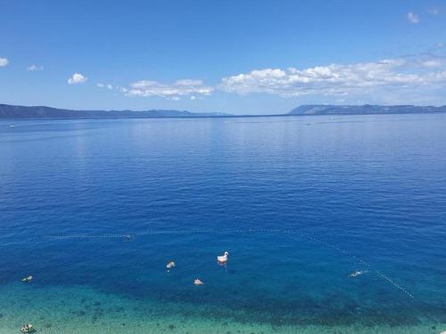 Φυσικό τοπίο κοντά σε αυτός ο ξενώνας
