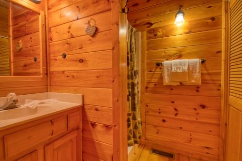 ein Badezimmer mit einem Waschbecken und einer Dusche in einem Blockhaus in der Unterkunft Buddy Bear #249 in Pigeon Forge