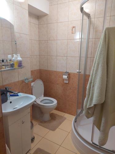 a bathroom with a toilet and a sink and a shower at Leśniczówka Hamernia 