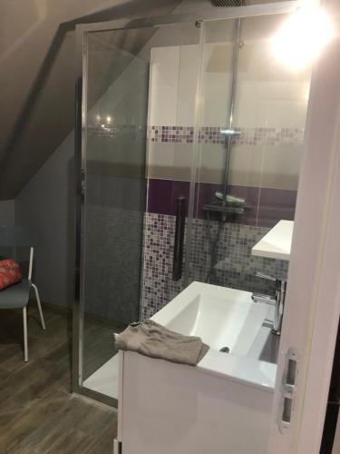 a bathroom with a shower and a white bath tub at Logement 4 personnes avec piscine intérieure 31 degrés zoo de la FLECHE 24 h du Mans in La Flèche