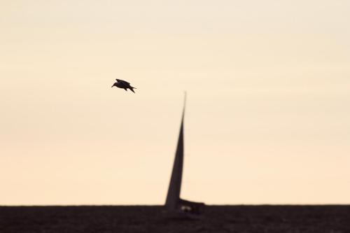 Gambar di galeri bagi Pāvilostas Šīfermāja di Pāvilosta