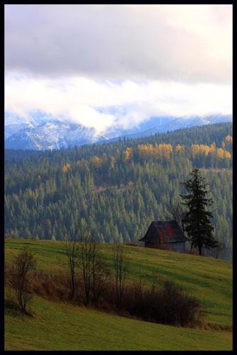 a barn in the middle of a field with a mountain at Grota zbójnicka apartament i pokoje in Gliczarów
