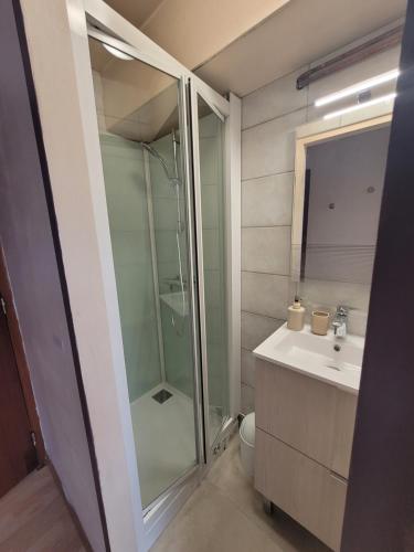 une salle de bain avec une douche en verre et un lavabo dans l'établissement Le Trésor des Vosges Appartement spacieux et lumineux 80m2 - jeux arcades - idéal famille 4 à 6 personnes, à Gérardmer